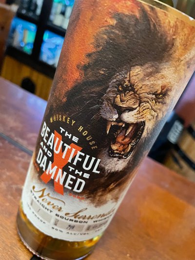 The Beautiful and the Damned "Never Surrender"